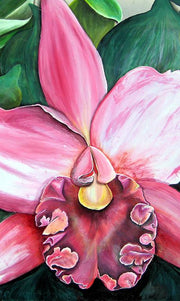 Pink Orchid by deepa