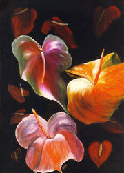 Multi Color Anthuriums