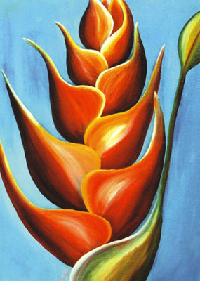 Heliconia by deepa