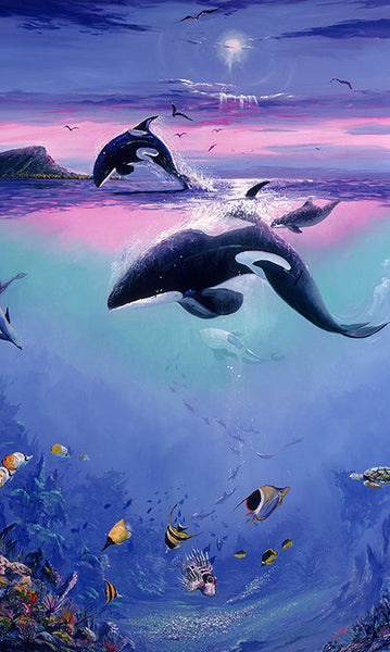 Orca Art Gift Card – Kona Joe Coffee