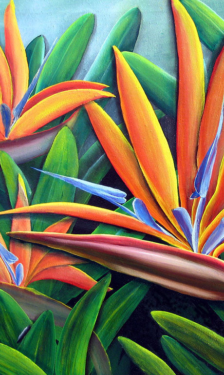 Multi Bird of Paradise Gift Card