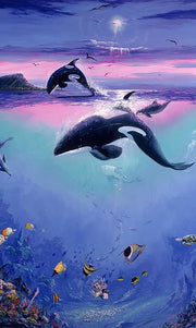 Orcas by deepa