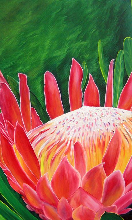 Queen Protea by deepa