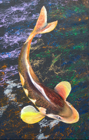 Single Koi Fish by deepa