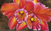 Twin Orchids by deepa