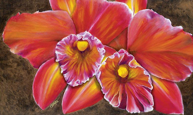 Twin Orchids by deepa