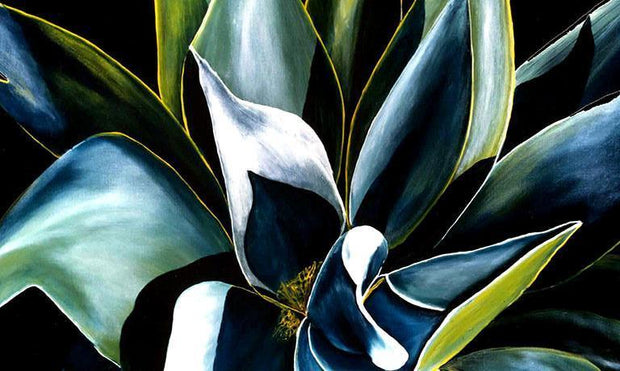 Yucca by deepa